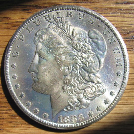 I-Finally-Own-A-Carson-City-Morgan-Silver-Dollar!